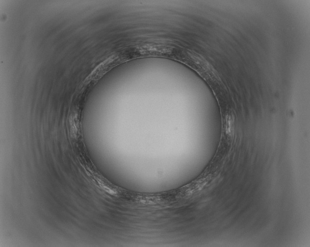 X0000080700915200701050941