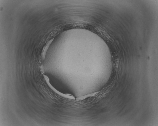 X0000080700916200701050941