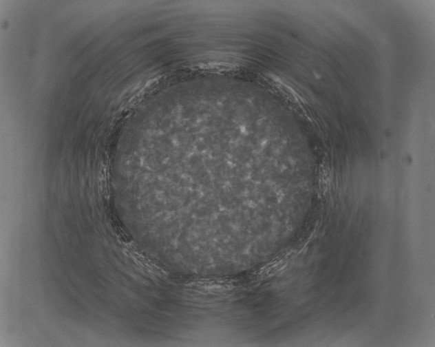 X0000080700917200701050941