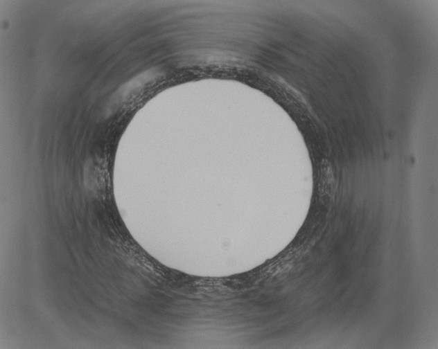 X0000080700918200701050941