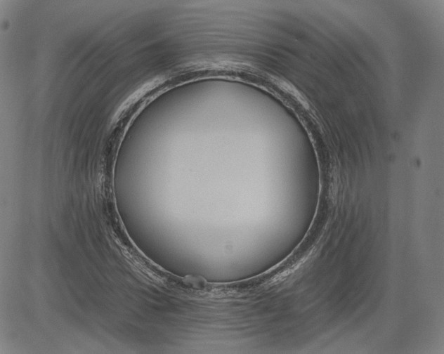 X0000080700922200701050941