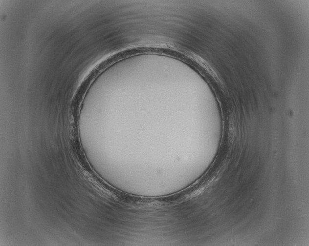 X0000080700926200701050941