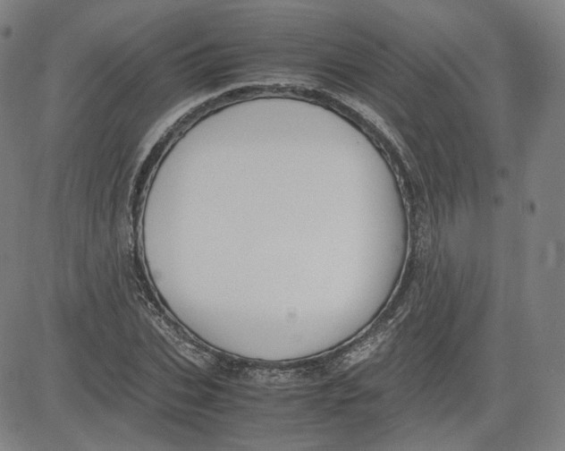 X0000080700927200701050941