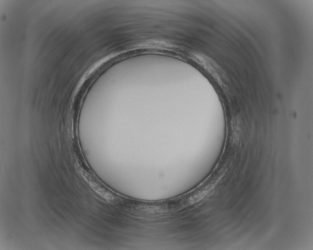 X0000080700931200701050941