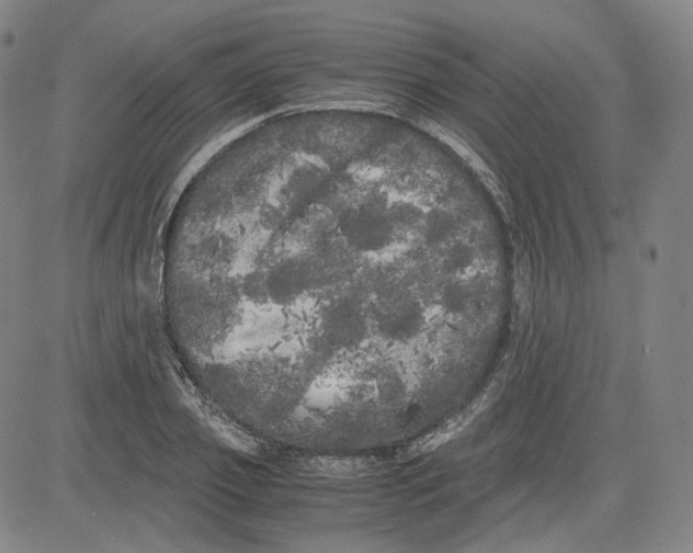 X0000080700933200701050941