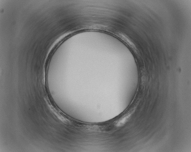 X0000080700940200701050941