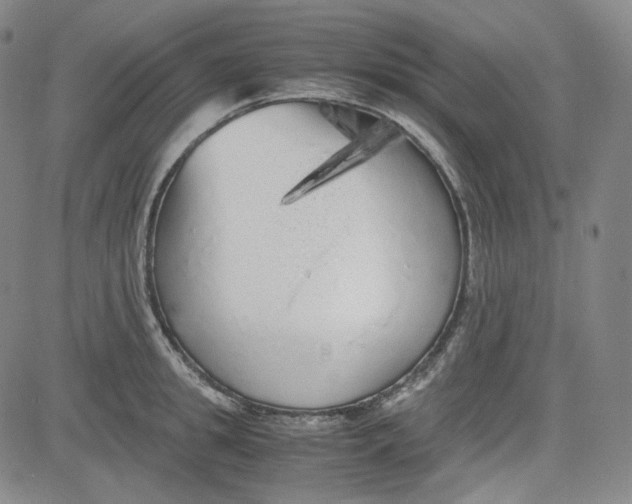 X0000080700949200701050941