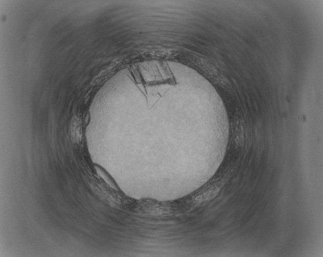 X0000080700962200701050940