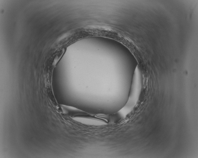 X0000080700965200701050940