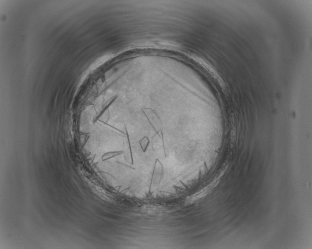 X0000080700974200701050940