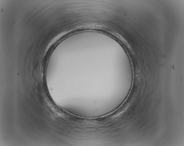 X0000080700981200701050940