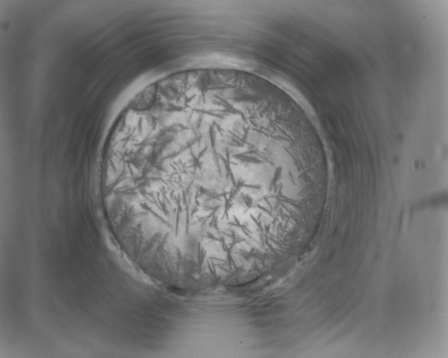 X0000080701008200701050940