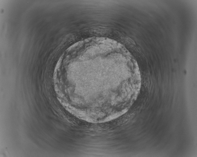 X0000080701009200701050939