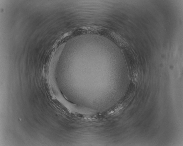 X0000080701010200701050939