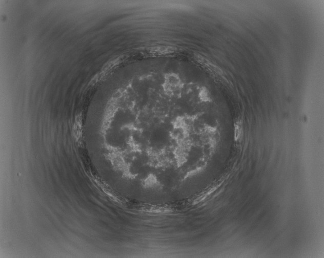 X0000080701011200701050939