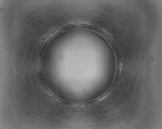 X0000080701014200701050939