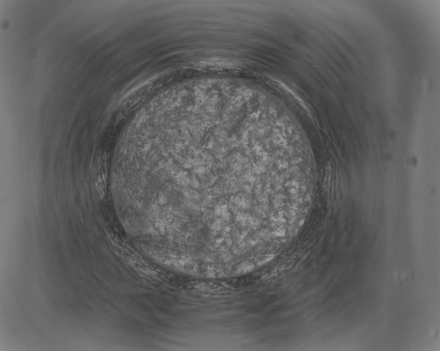 X0000080701015200701050939