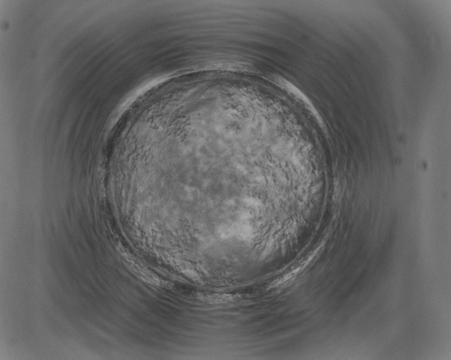 X0000080701019200701050939