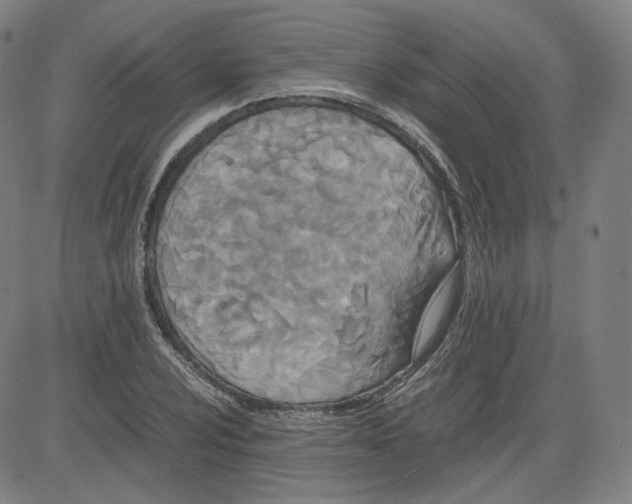 X0000080701024200701050939
