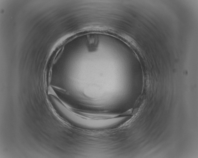 X0000080701030200701050939