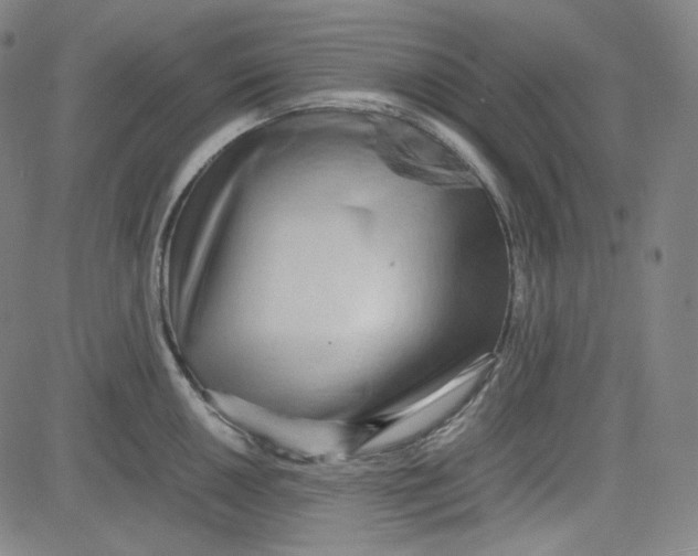 X0000080701050200701050940