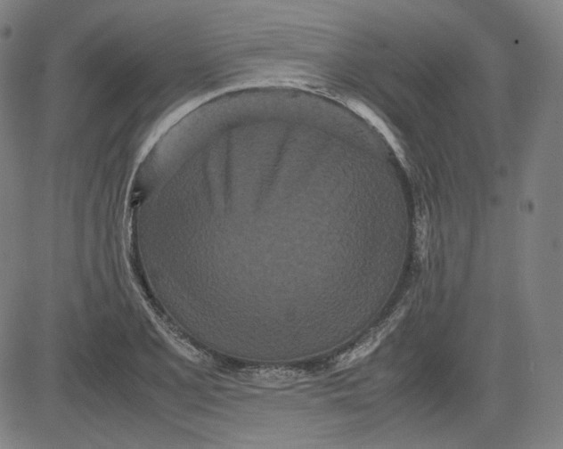 X0000080701077200701050939