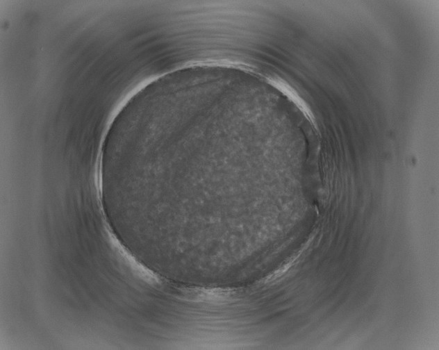 X0000080701084200701050939