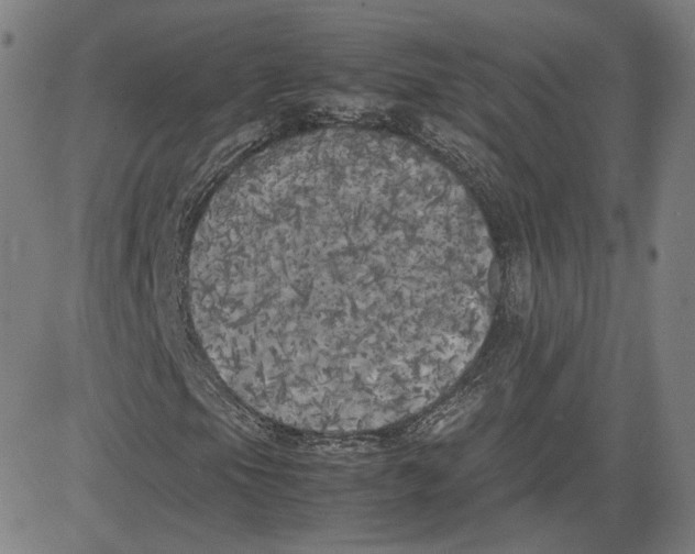X0000080701105200701050937