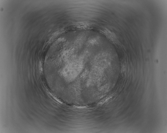 X0000080701106200701050937