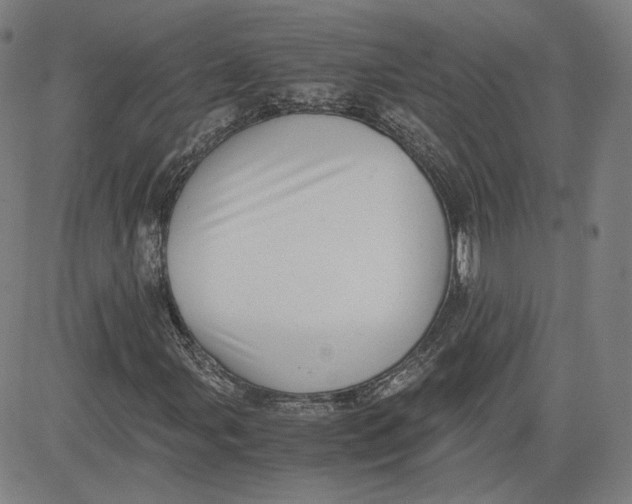 X0000080701107200701050937
