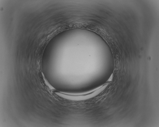 X0000080701109200701050937