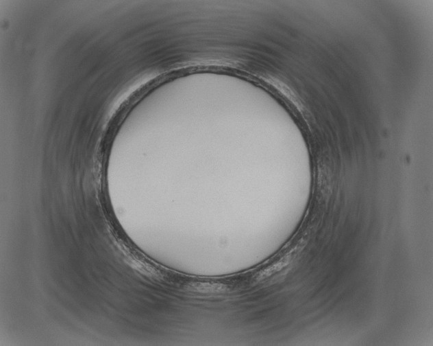 X0000080701119200701050938