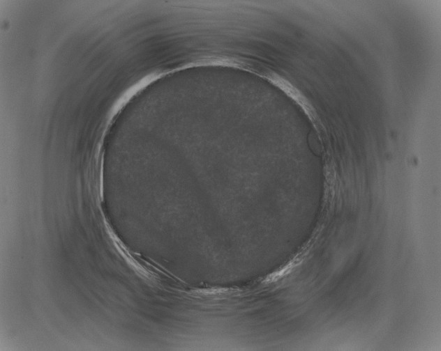 X0000080701127200701050938