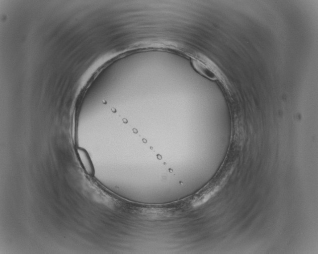 X0000080701132200701050938