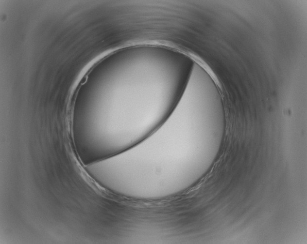 X0000080701148200701050938