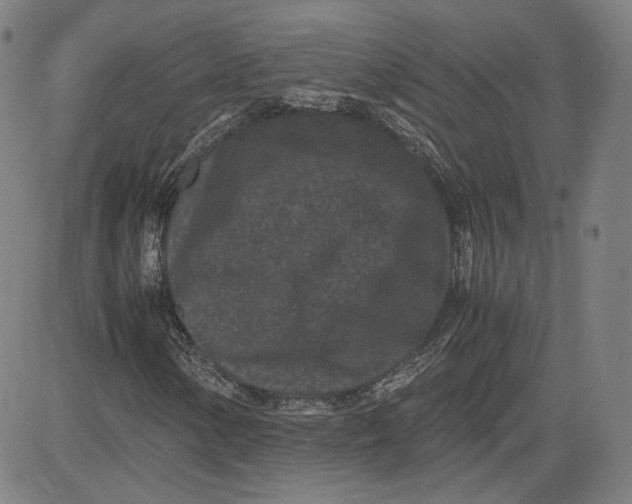 X0000080701154200701050937