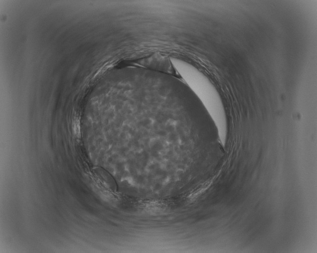 X0000080701155200701050937