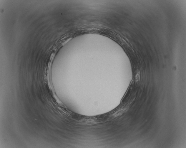 X0000080701156200701050937