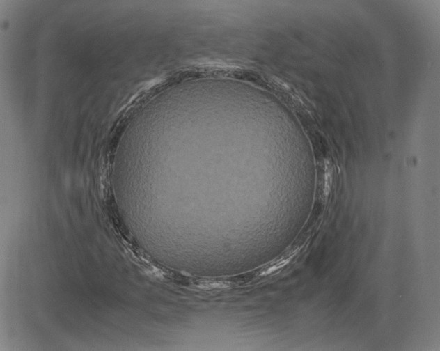 X0000080701157200701050937