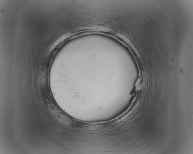 X0000080701163200701050937