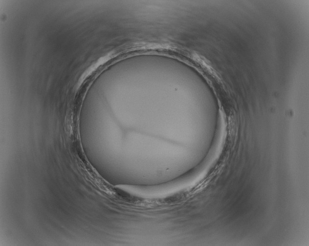 X0000080701165200701050937