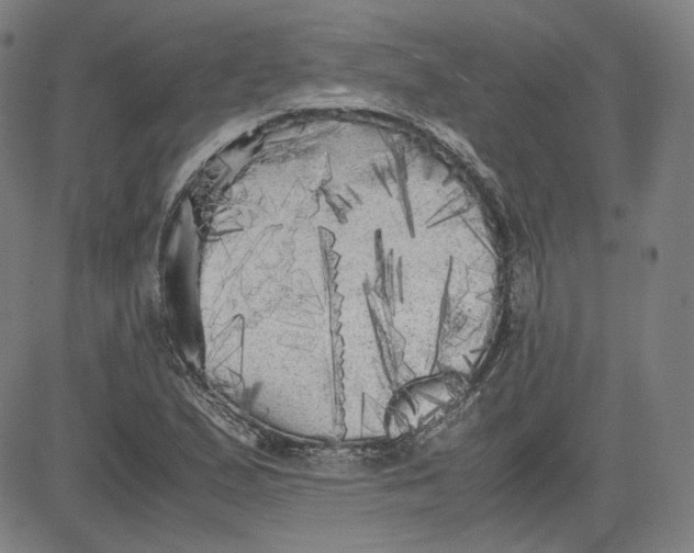 X0000080701167200701050937