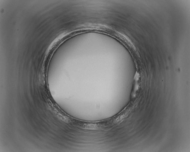X0000080701172200701050937