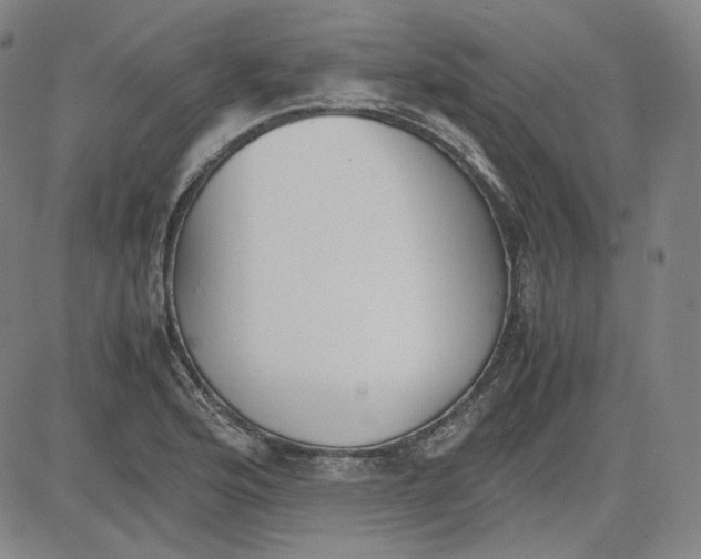 X0000080701176200701050937