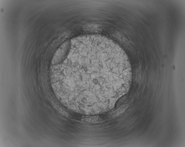 X0000080701201200701050936