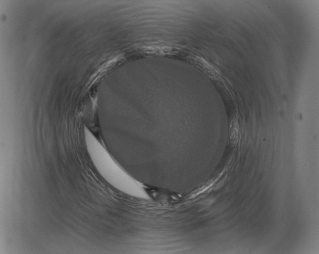 X0000080701202200701050936