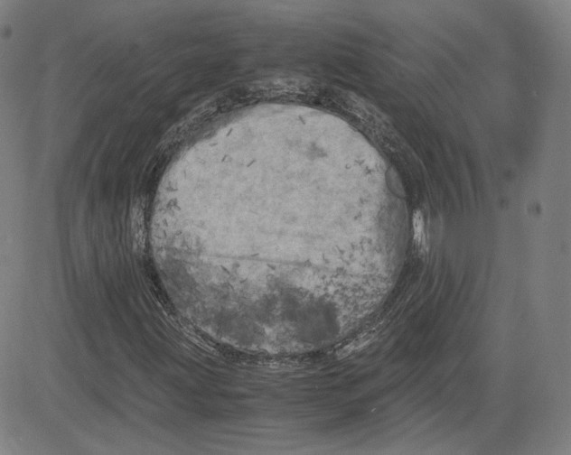 X0000080701203200701050936