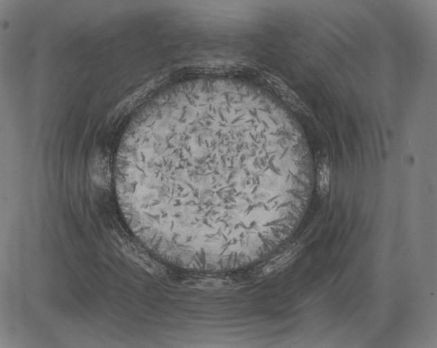 X0000080701204200701050936