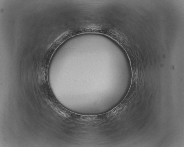 X0000080701205200701050936