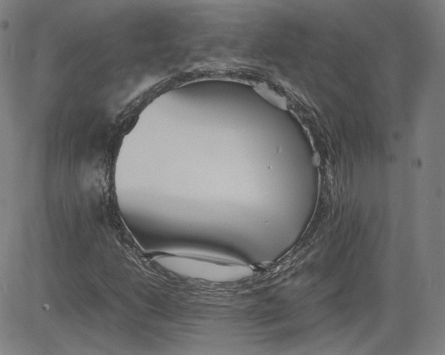 X0000080701206200701050936